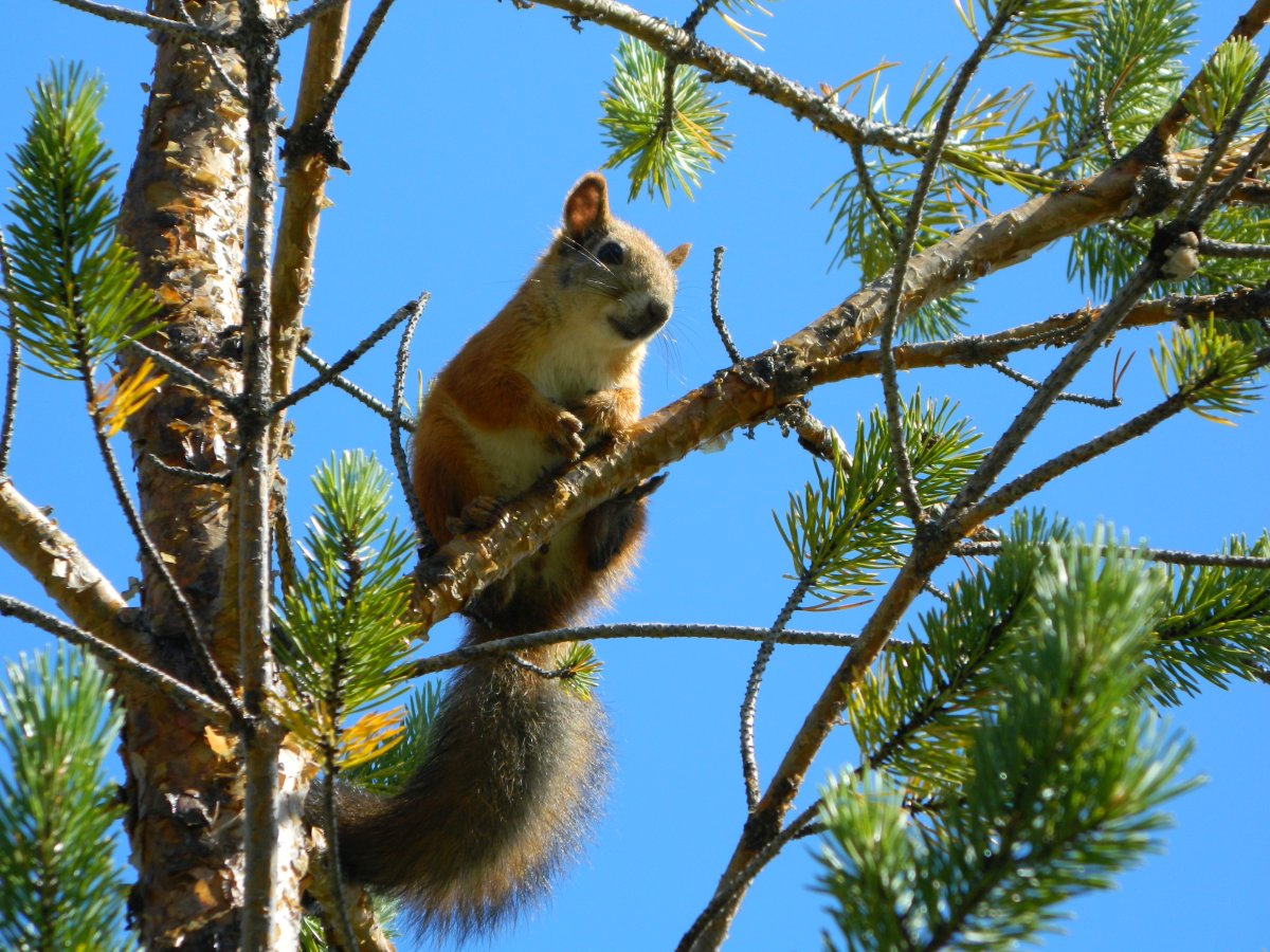 Природный парк Сибирские Увалы