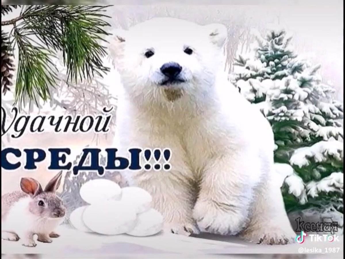 Открытки хорошей зимней среды