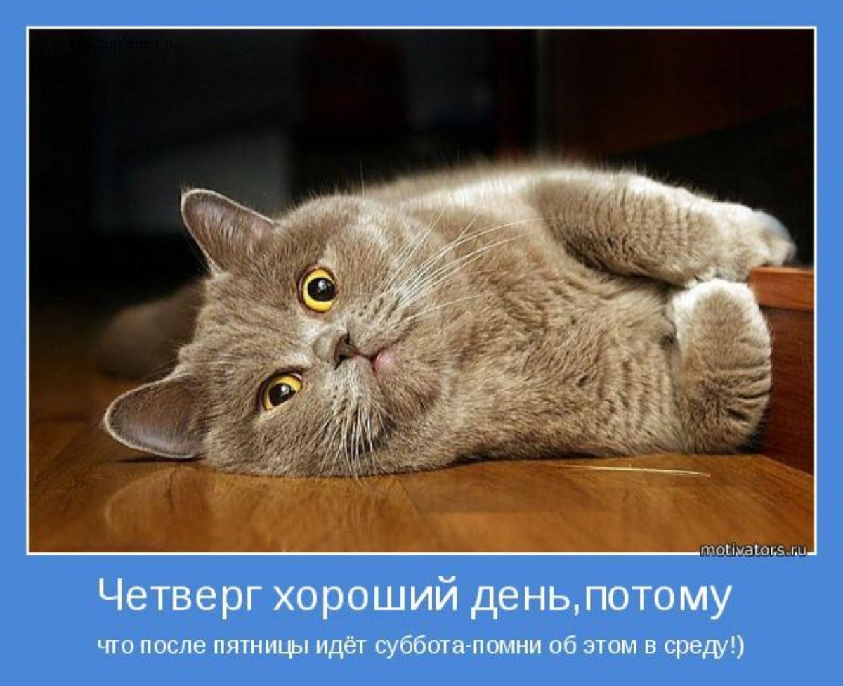 Четверг картинки прикольные