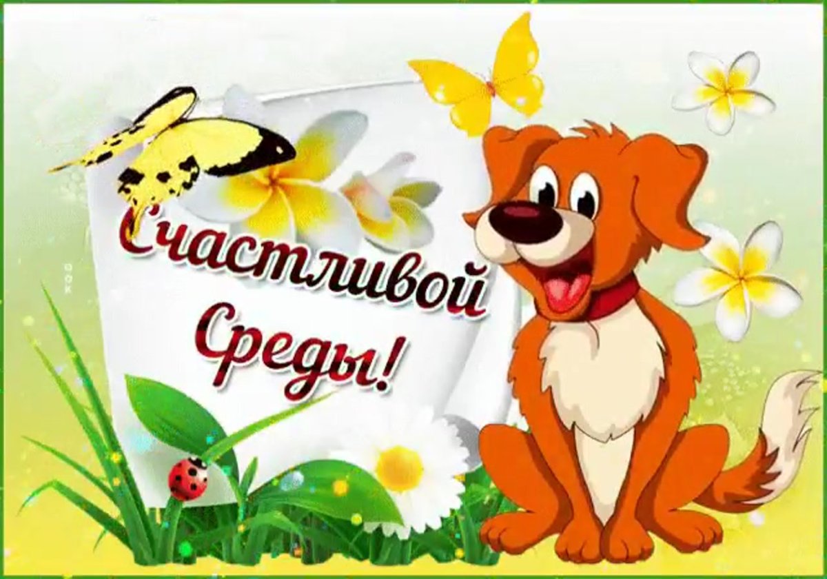 Радостной доброй среды