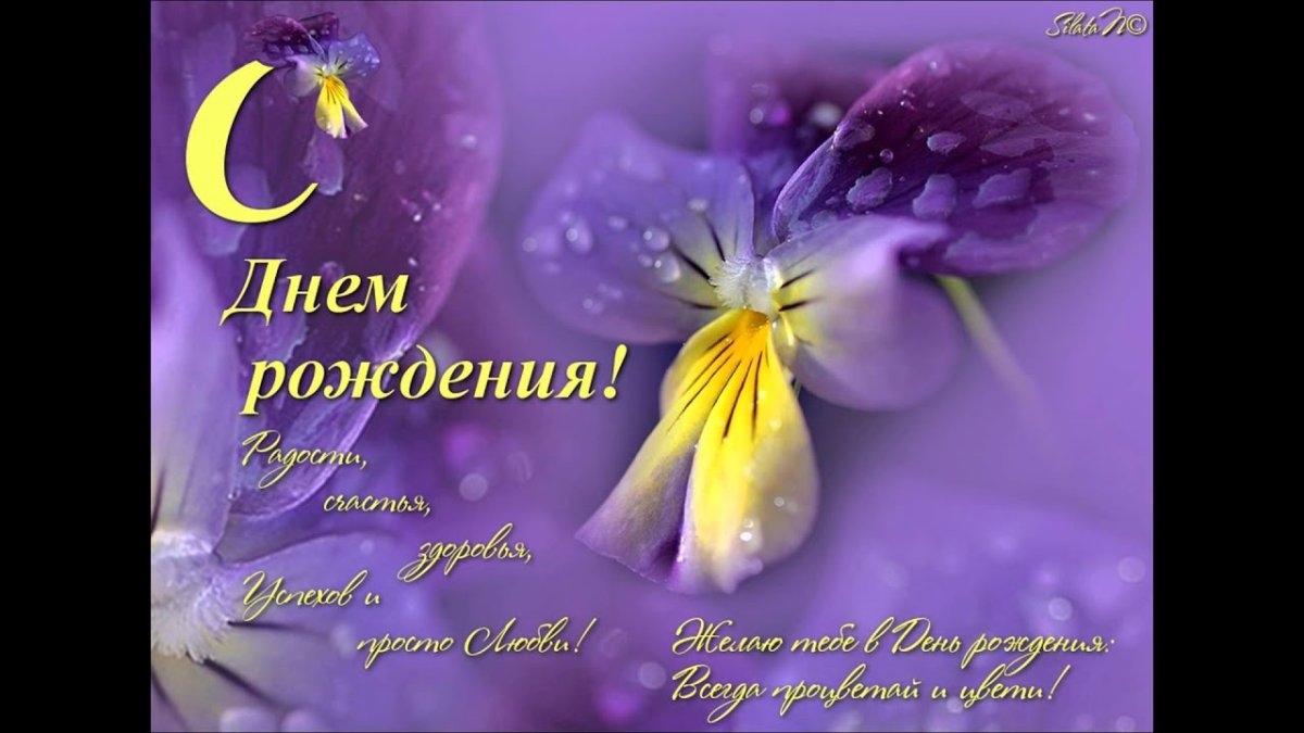 Поздравительная открытка