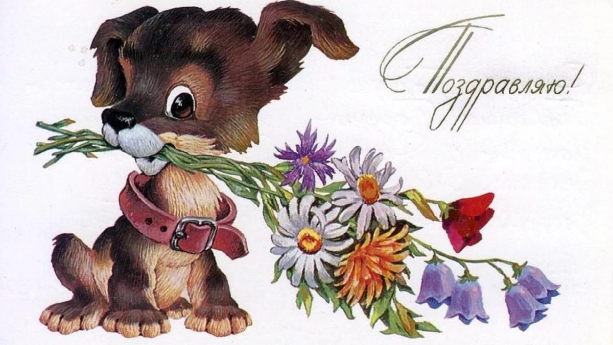 Шестикрылая птица