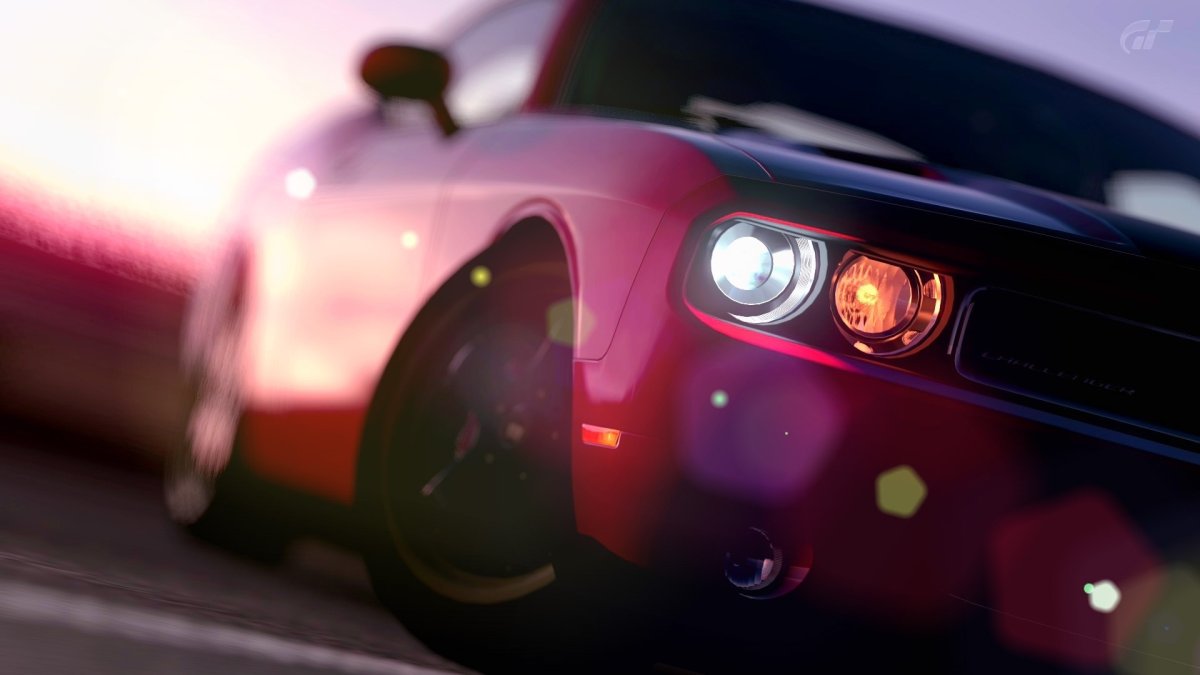 Кот в очках