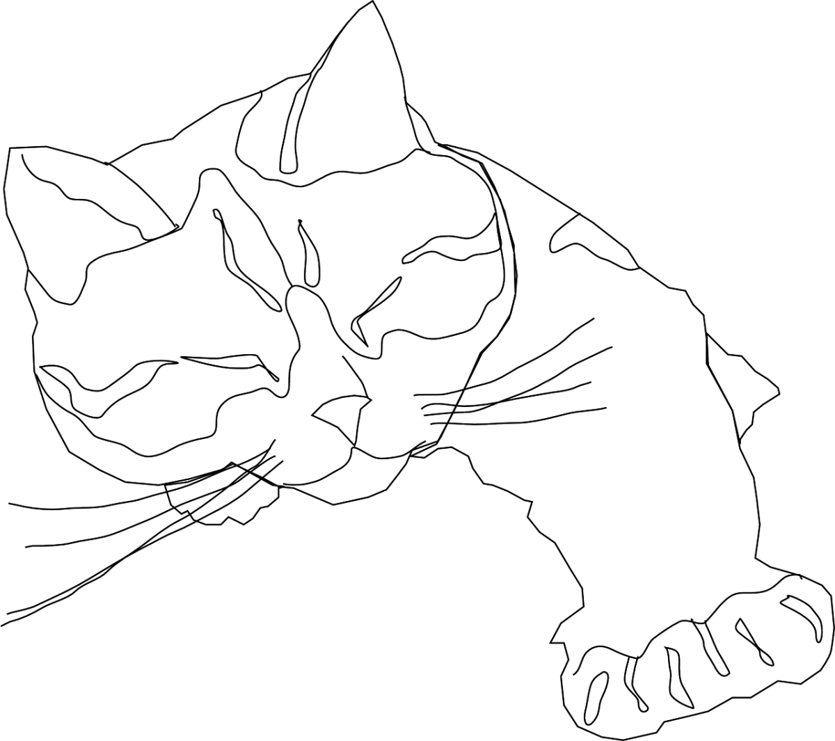 Котик контур