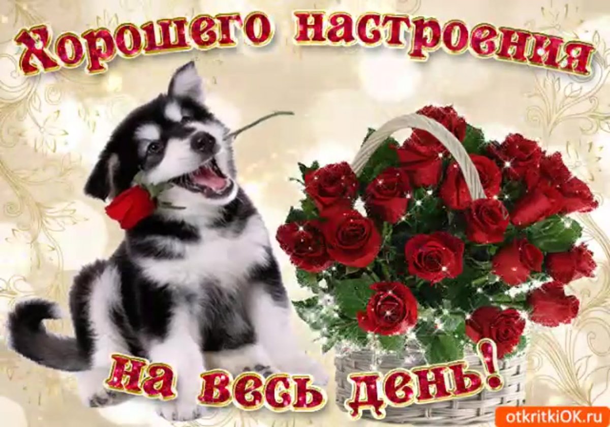 Хорошего настроения на весь
