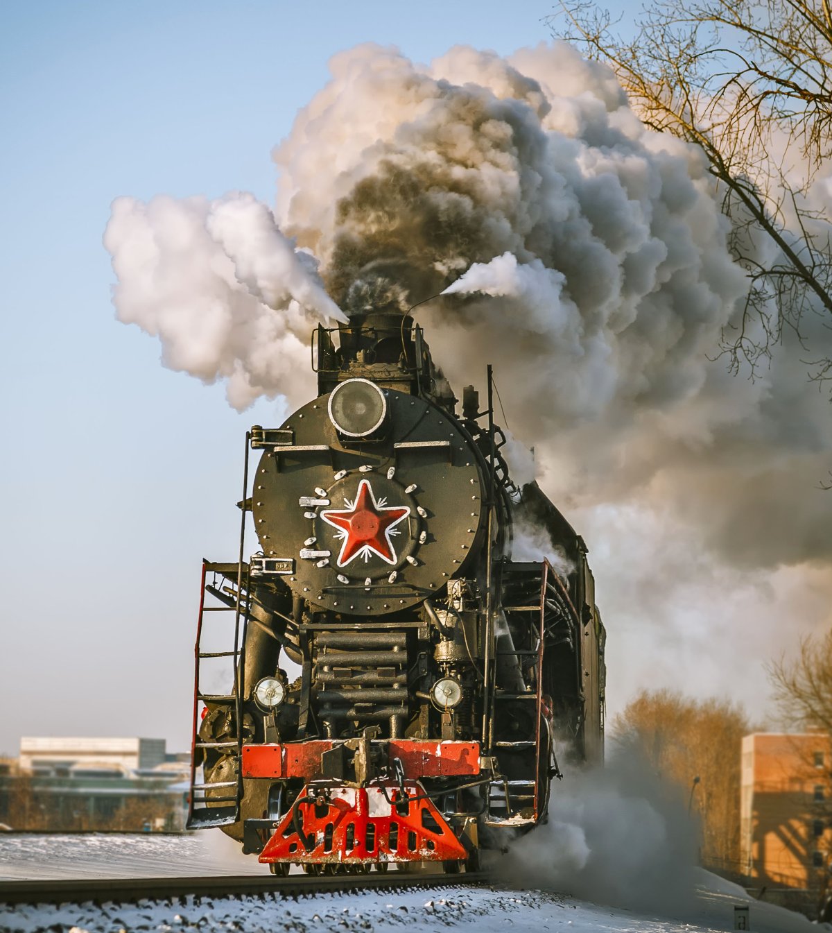 Паровоз в лесу