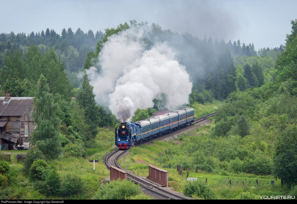 Паровоз в лесу