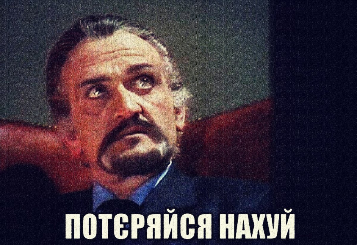 Кот с табличкой