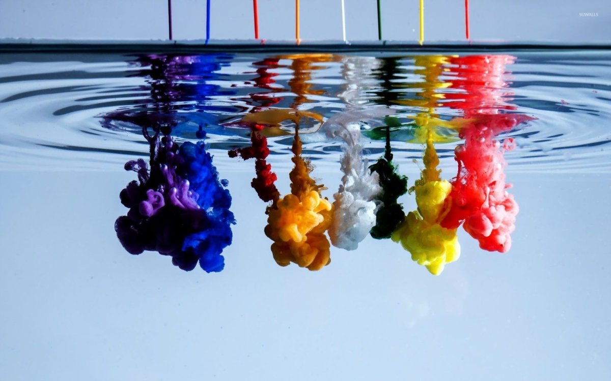 Праздник красок Холи