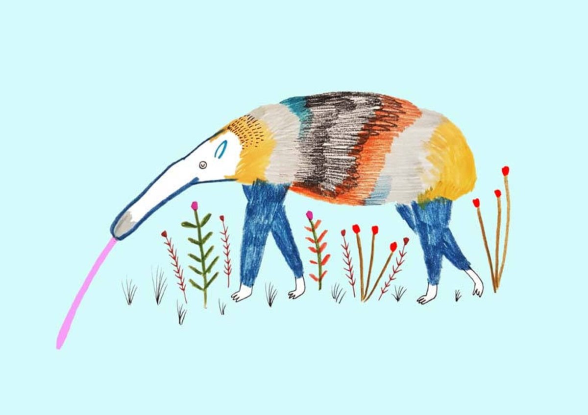 Anteater арт