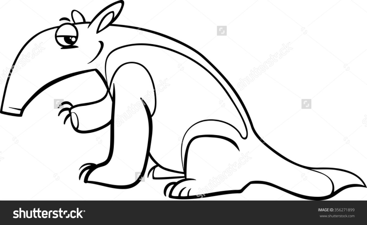 Муравьед раскраска для детей