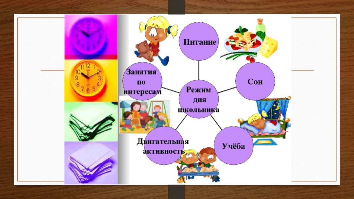 Соблюдай режим дня