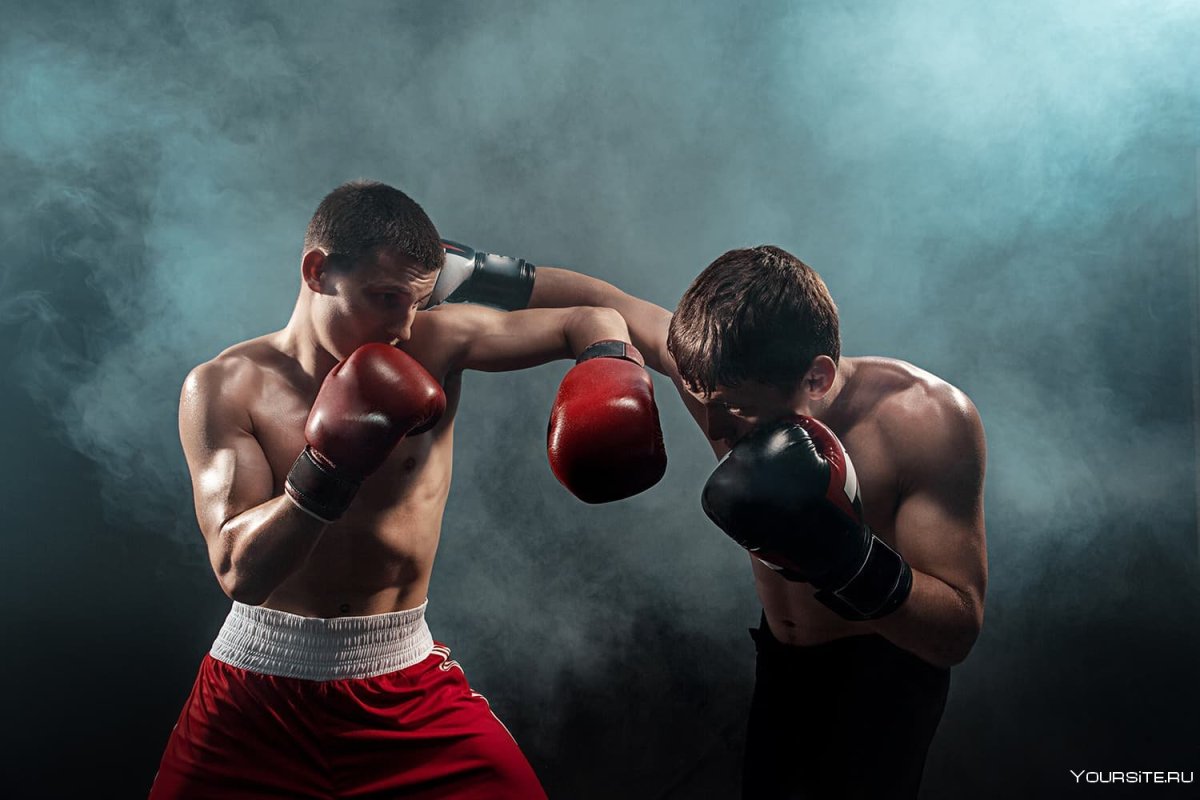 Муса ямак боксер