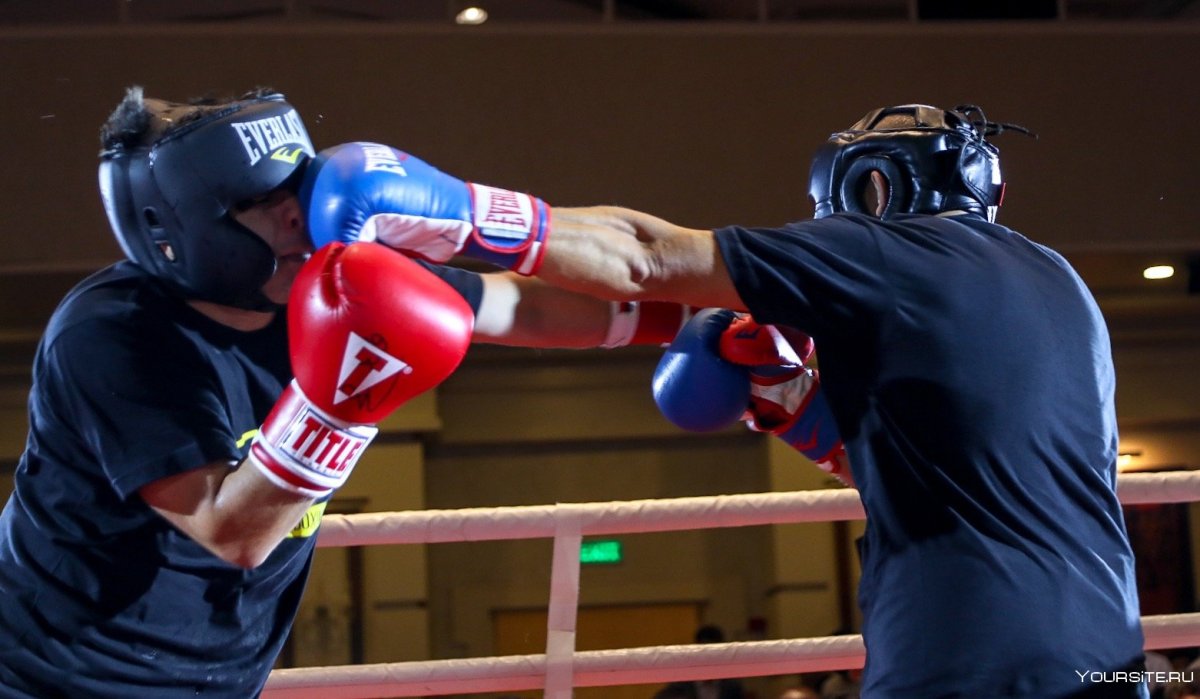 Барбара боксерша