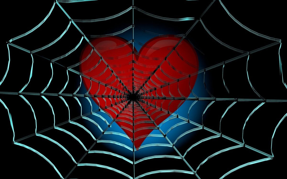 Сердце в паутине
