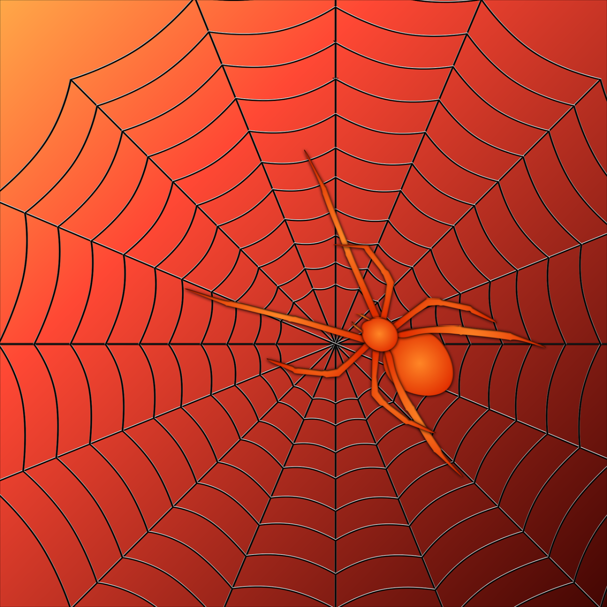 Spider man паук на паутине