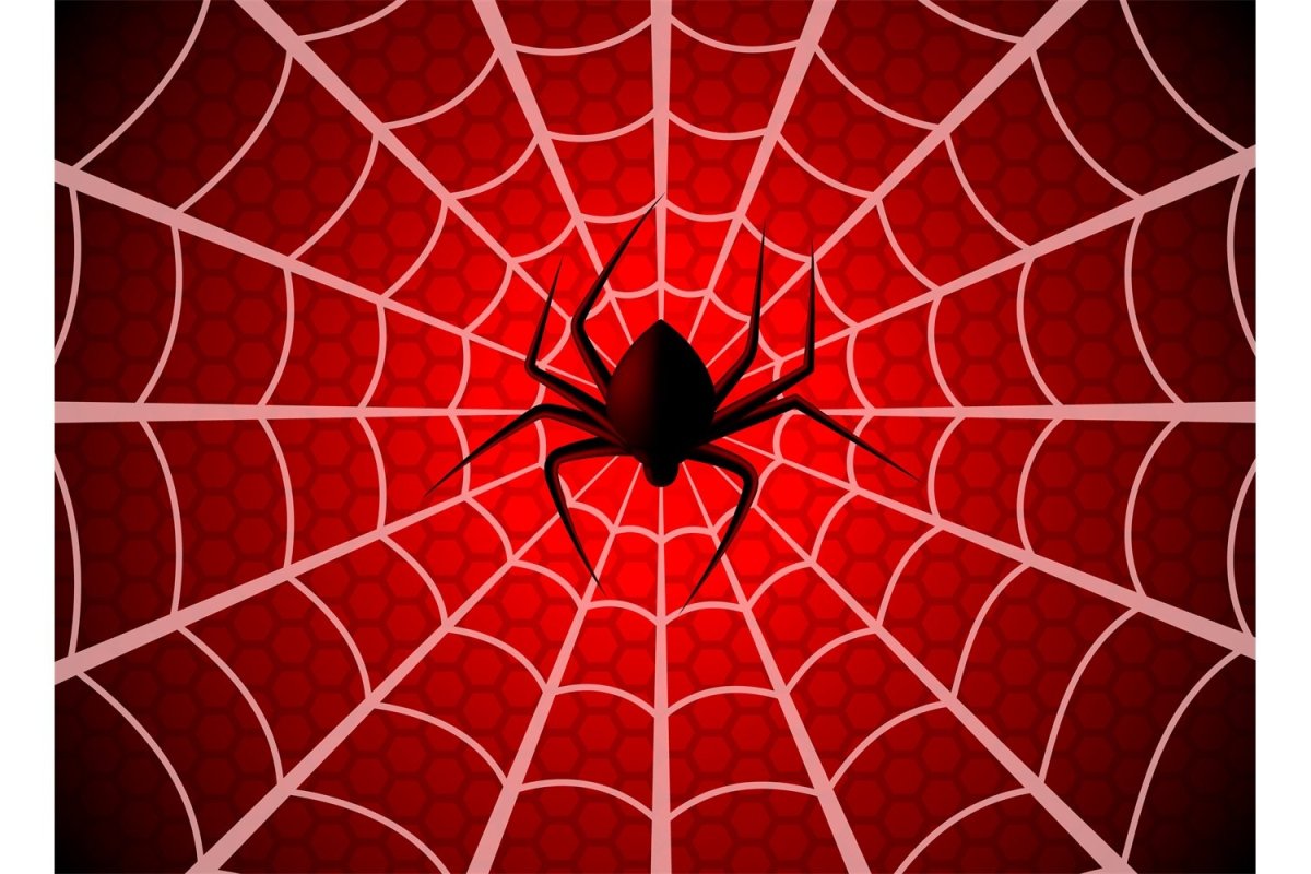 Красный паук на паутине