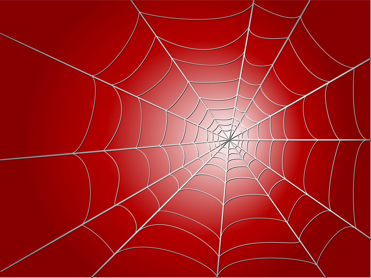 Паутина на Красном фоне