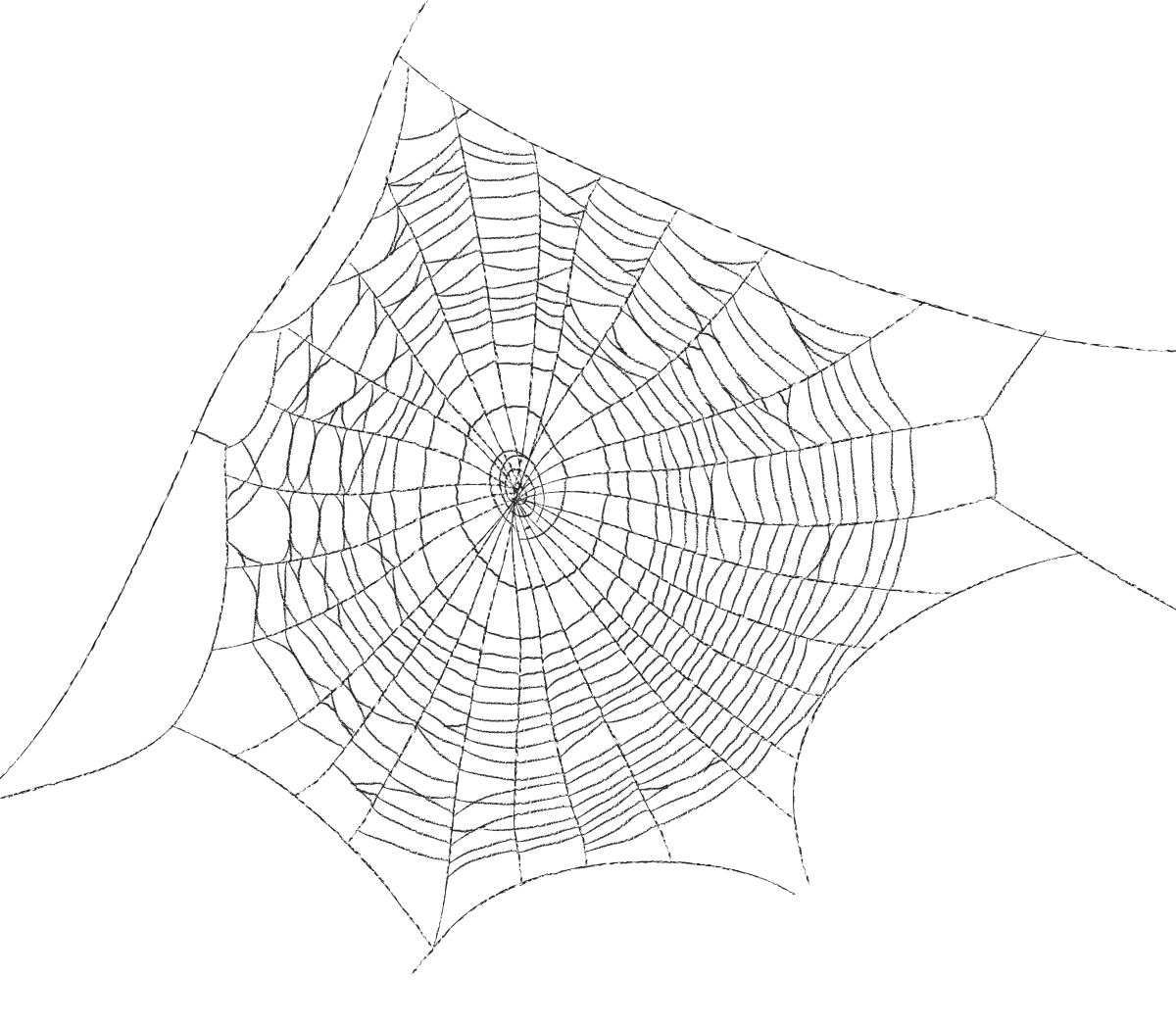 Паутина в углу