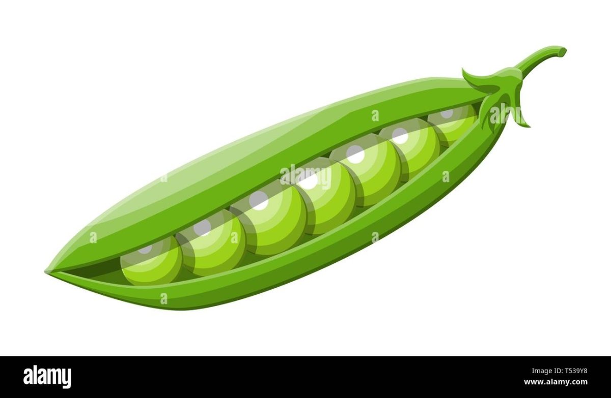 Стручок гороха на белом фоне