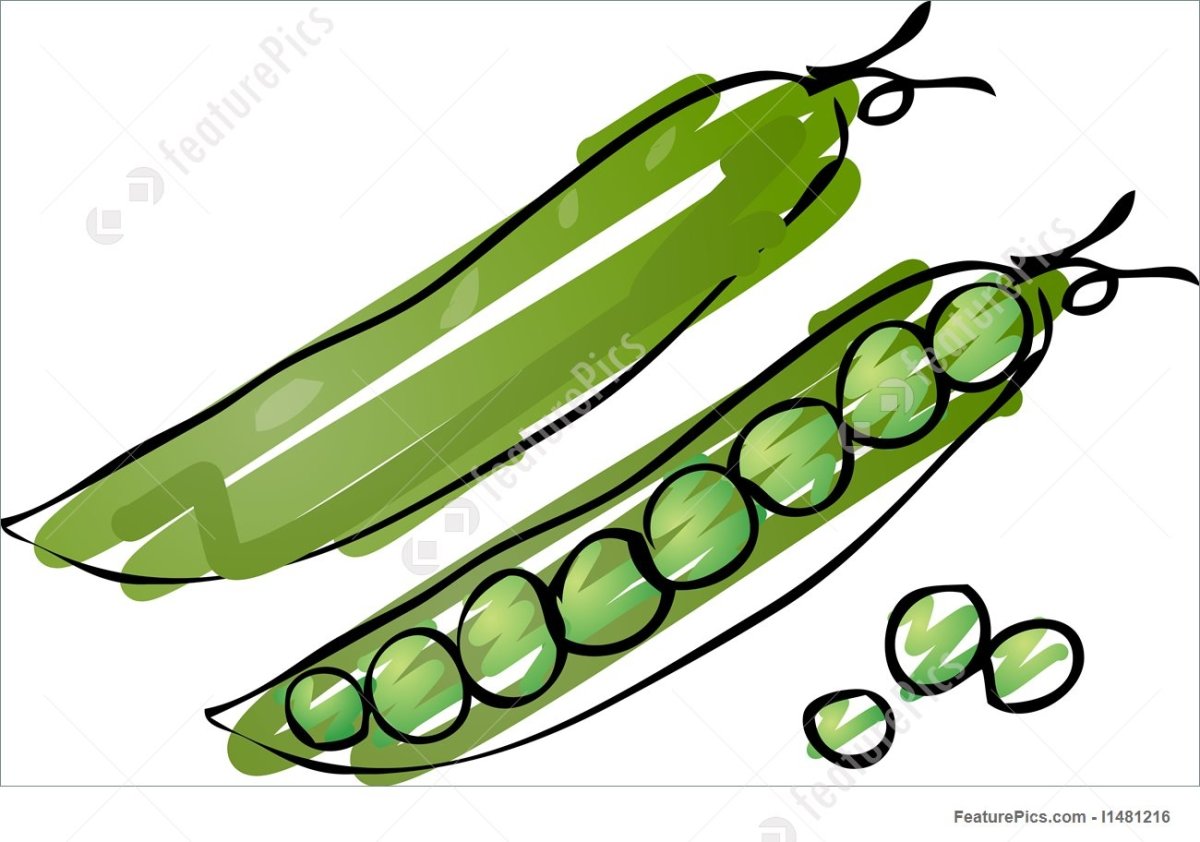 Горох скетч