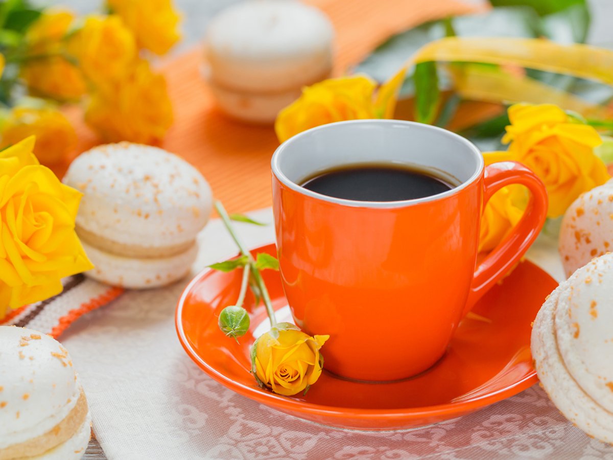 Чашечка утреннего кофе