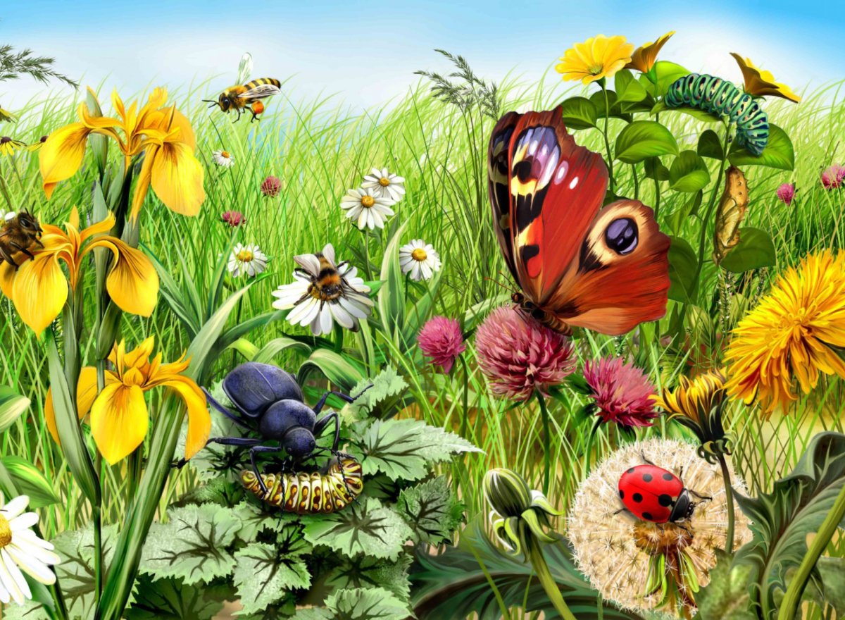 Живая природа осенью животные