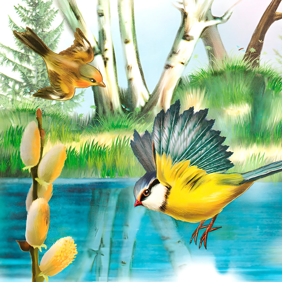 Живая и неживая природа