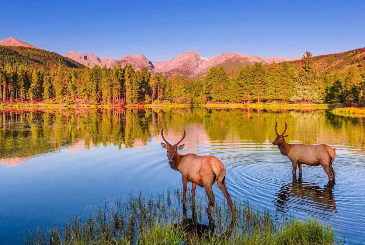 Летний фон для презентации