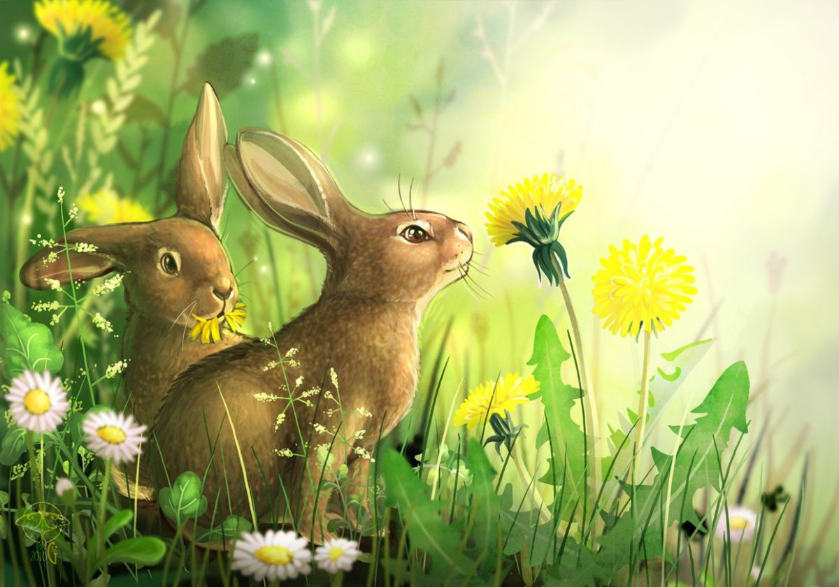 Обитатели водоемов для детей