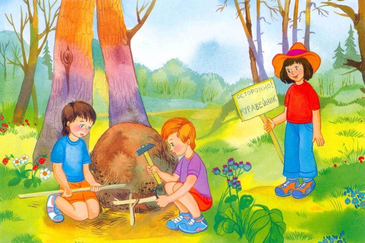 Живая природа