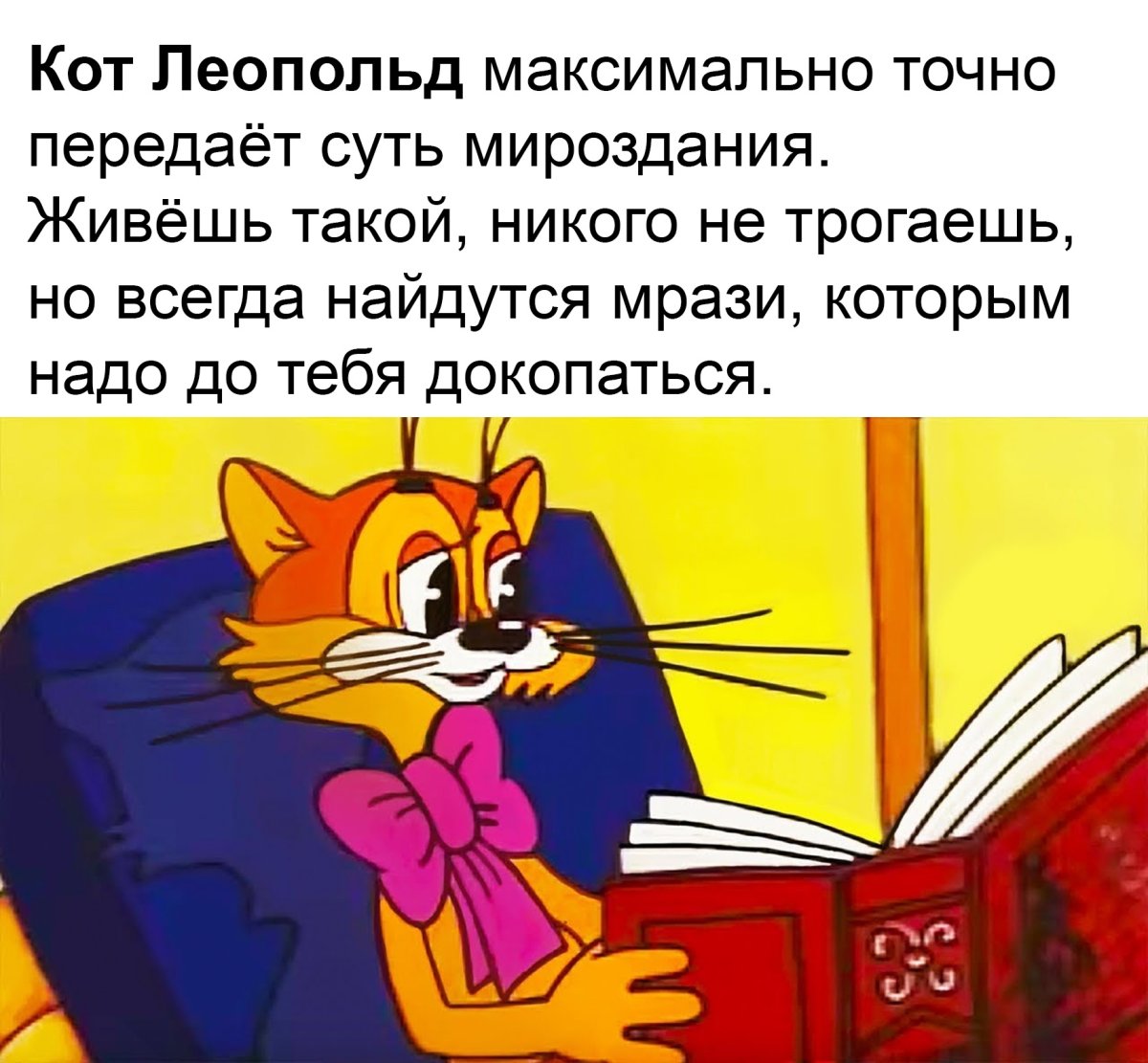 Обезьяна на велосипеде