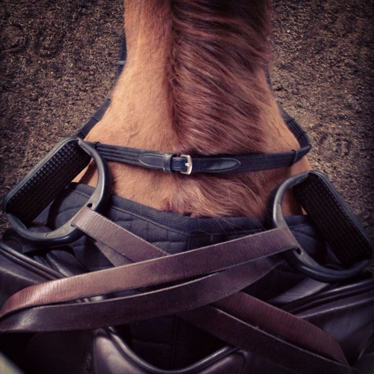 Стремена для лошади