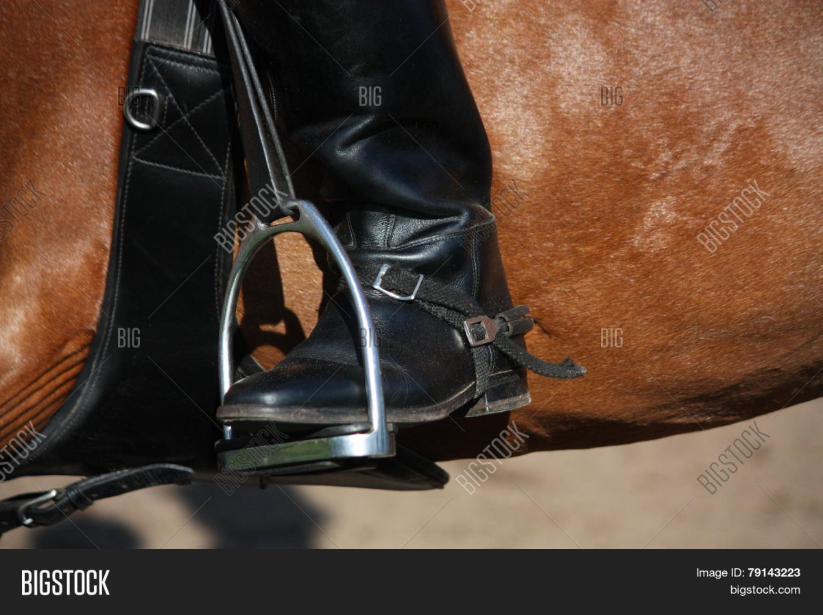 Техника безопасности с лошадью