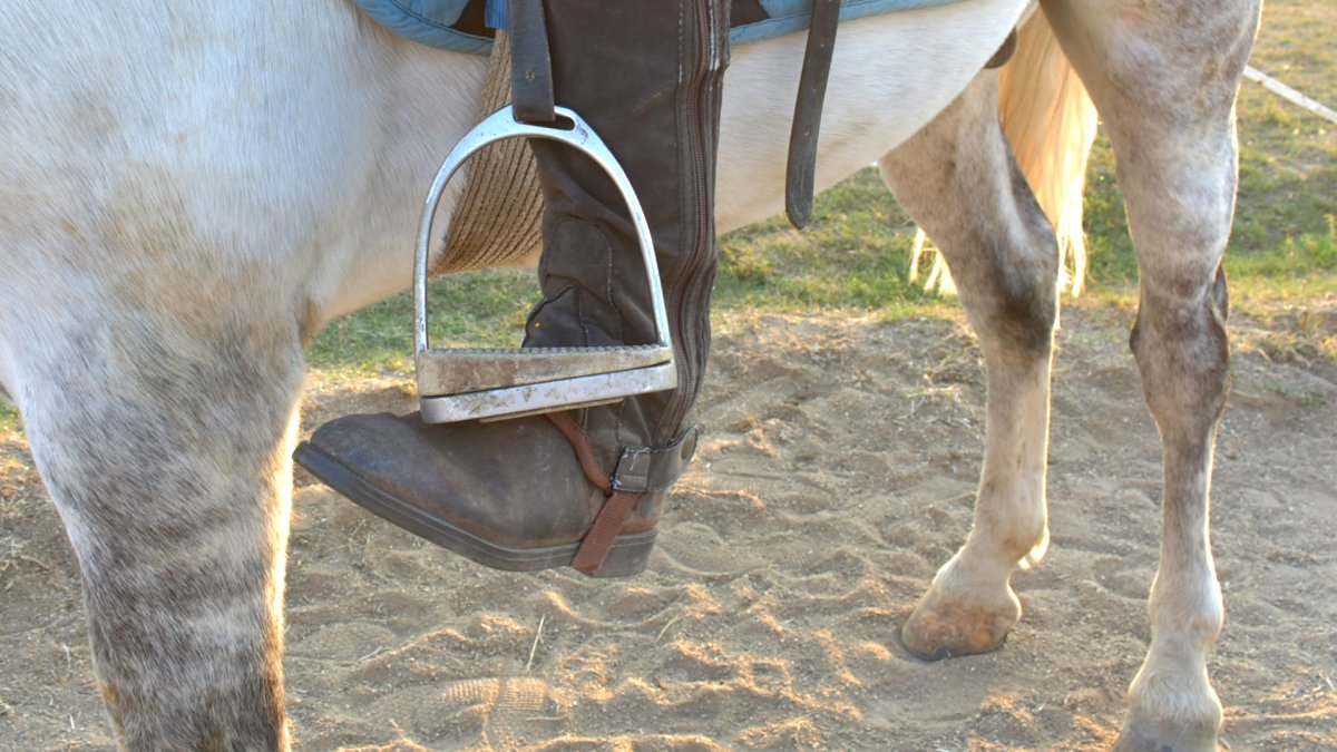 Гог для лошади