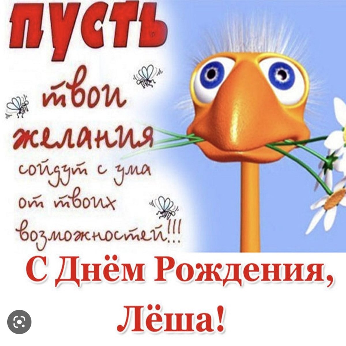 С днём рождения Алексей