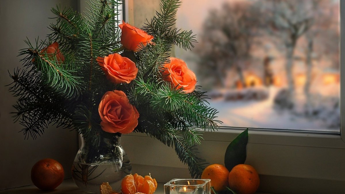 Добрый вечер зима город