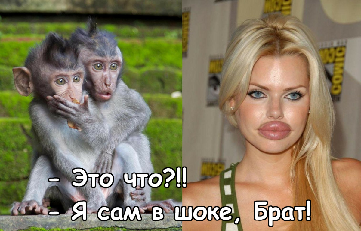 Упоротый Патрик