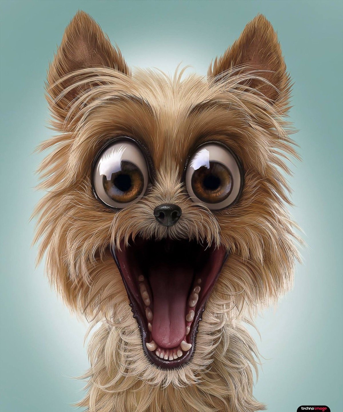 Семейство Салливан коала