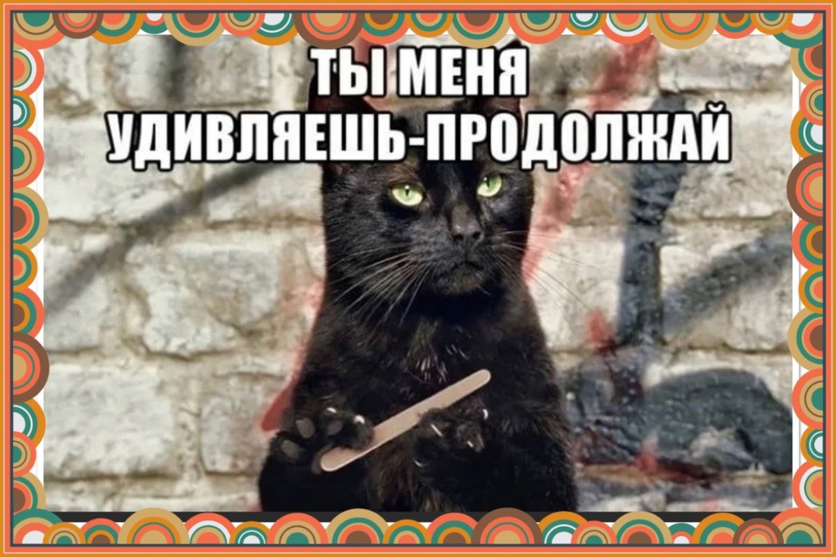 Прикольные мордашки