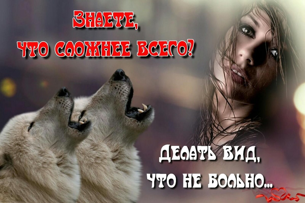 Цитаты Волков