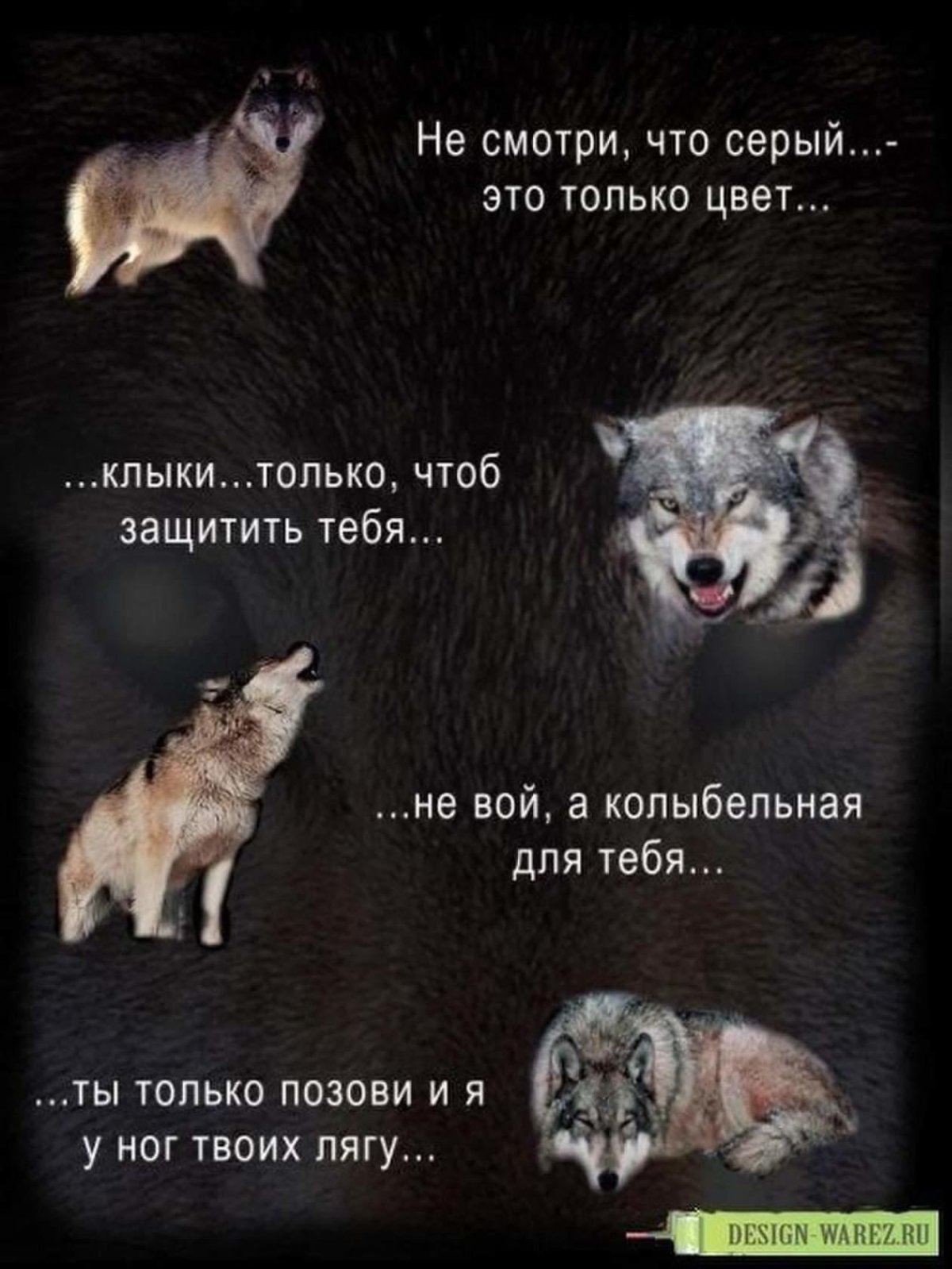 Цитаты про Волков и людей