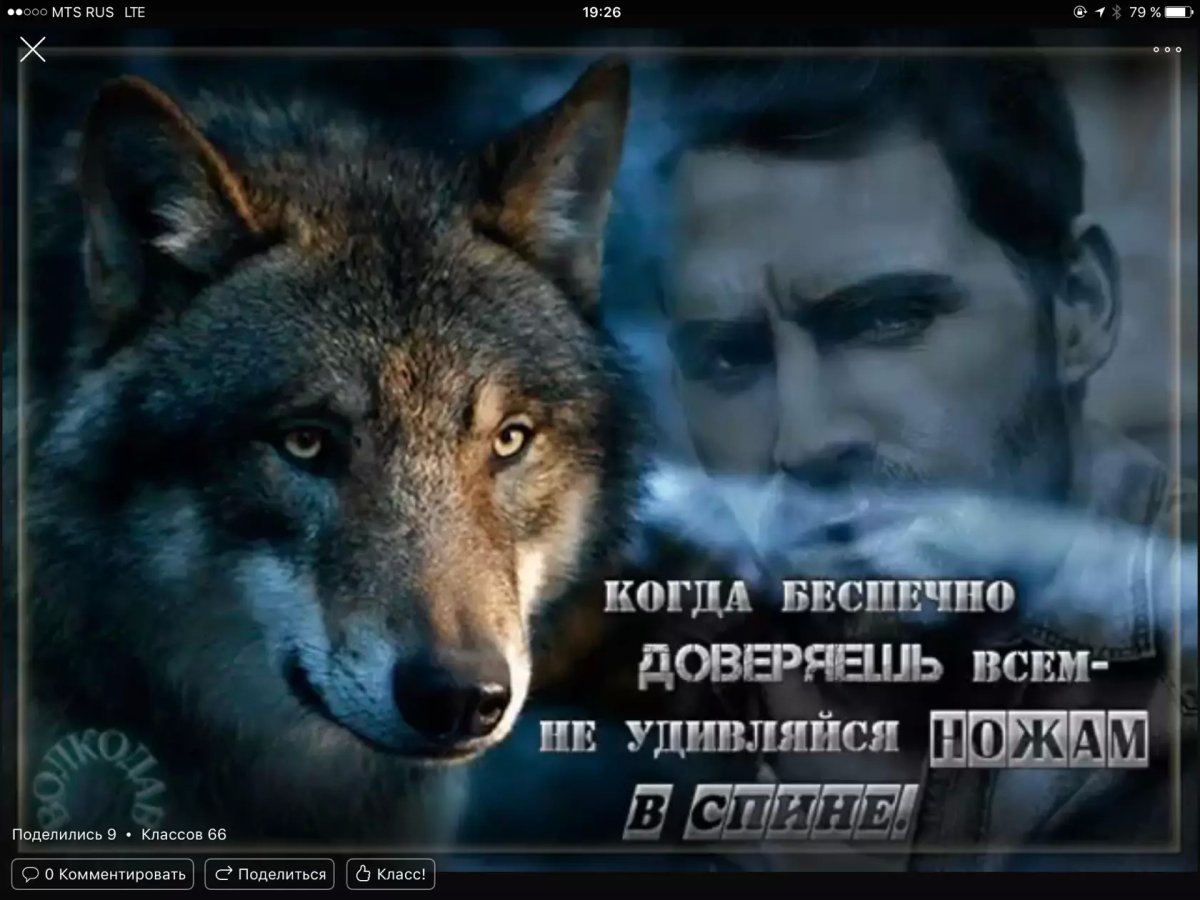 Цитаты волка