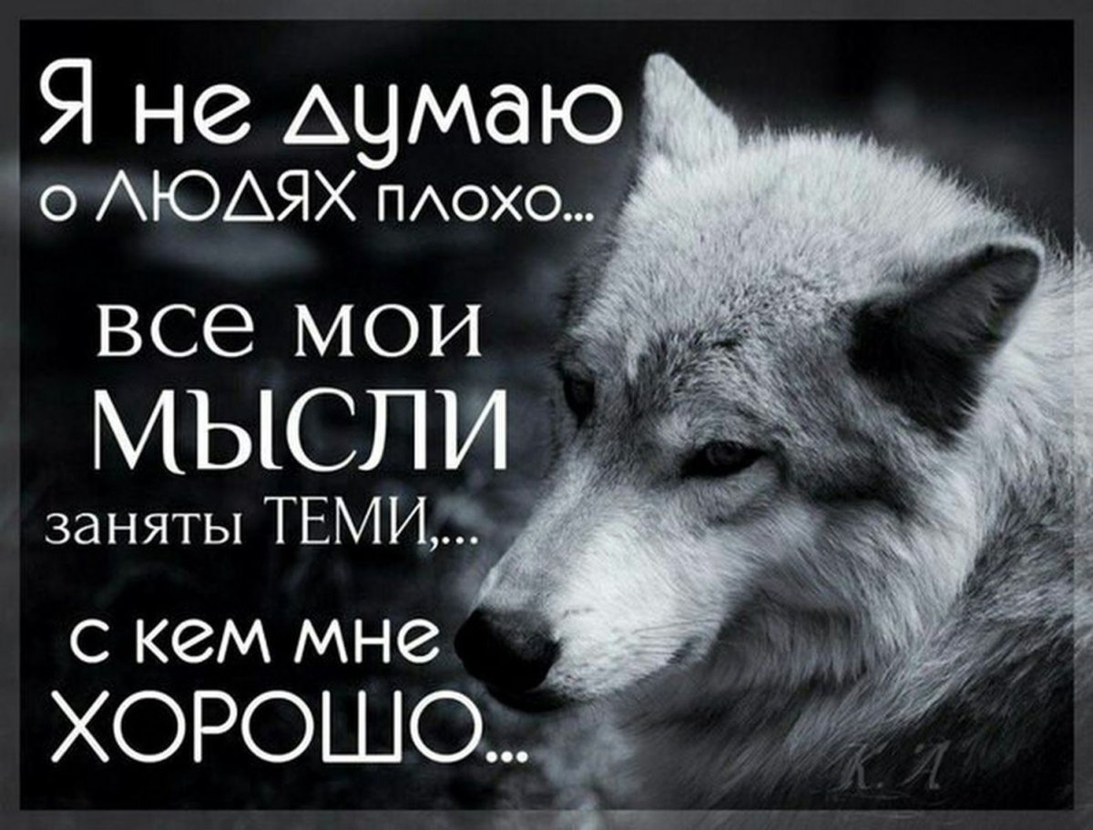 Цитаты про Волков без картинок