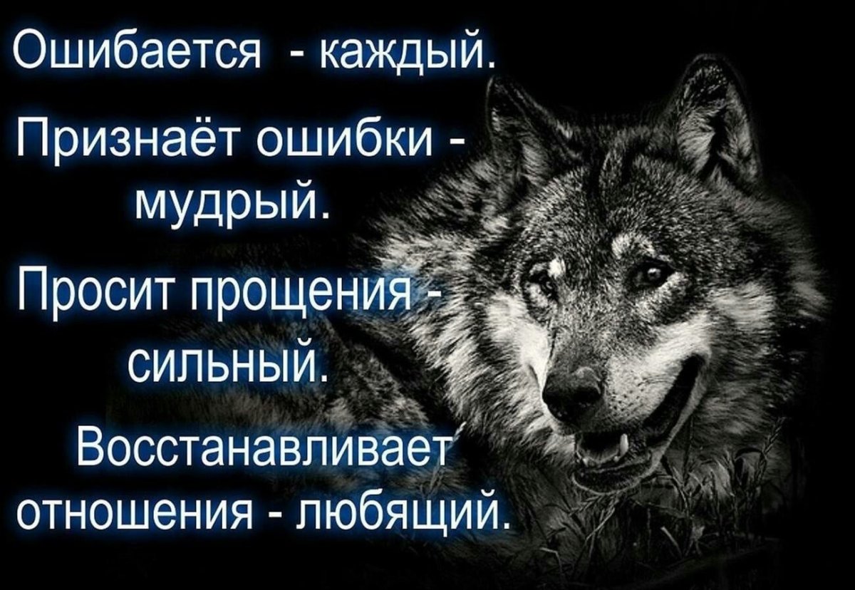 Цитаты волка