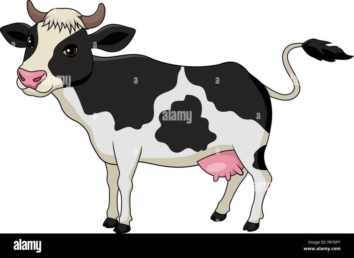 Хвост коровы