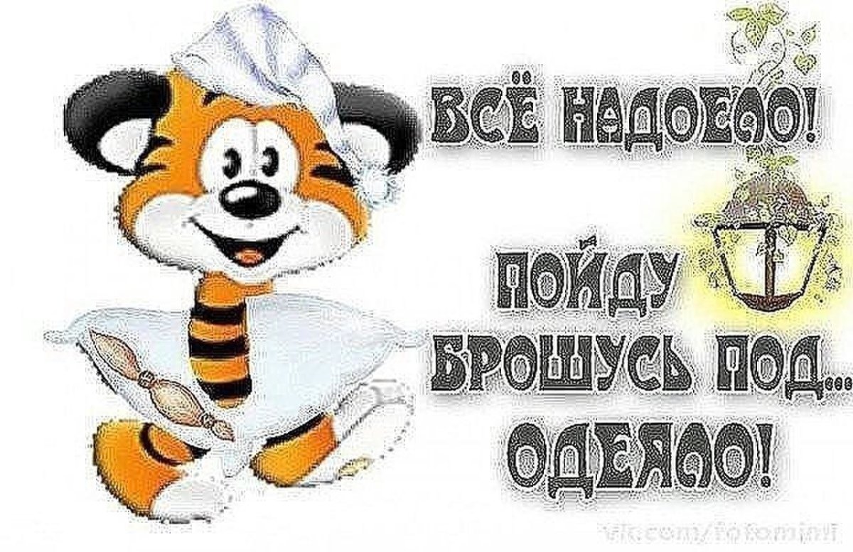 Картинка пока