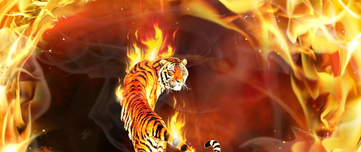 Тигр от Александры Токаревой