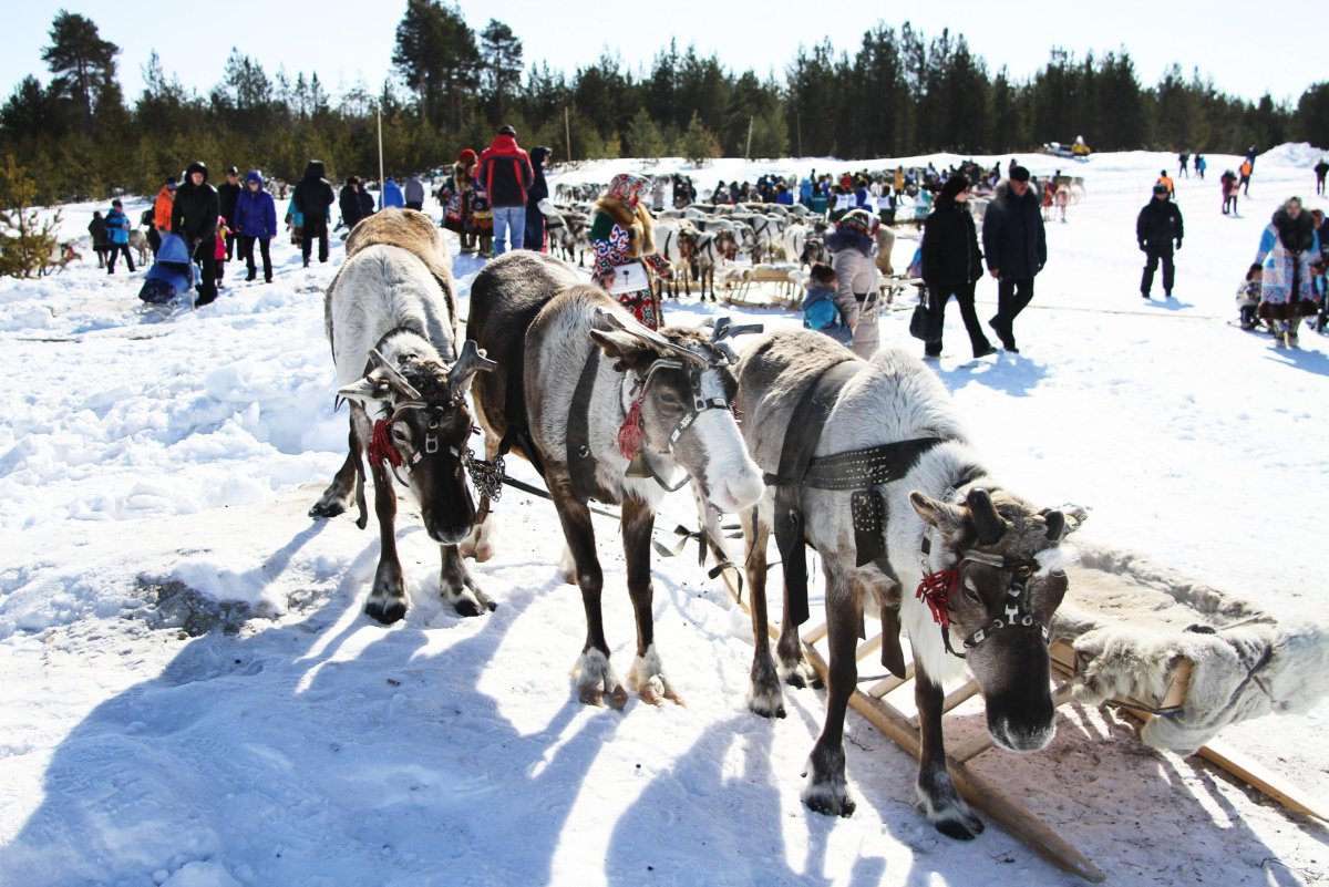 Ненцы Воркута