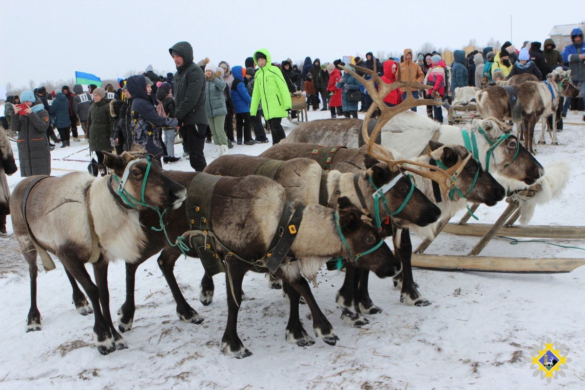 Ямало- Ненецкий автономный округ ненцы праздник народов севера